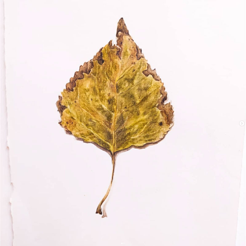 Tree leaf with watercolors